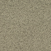 Charlotte - D4684 - Sage - Fabric by the Yard Sage