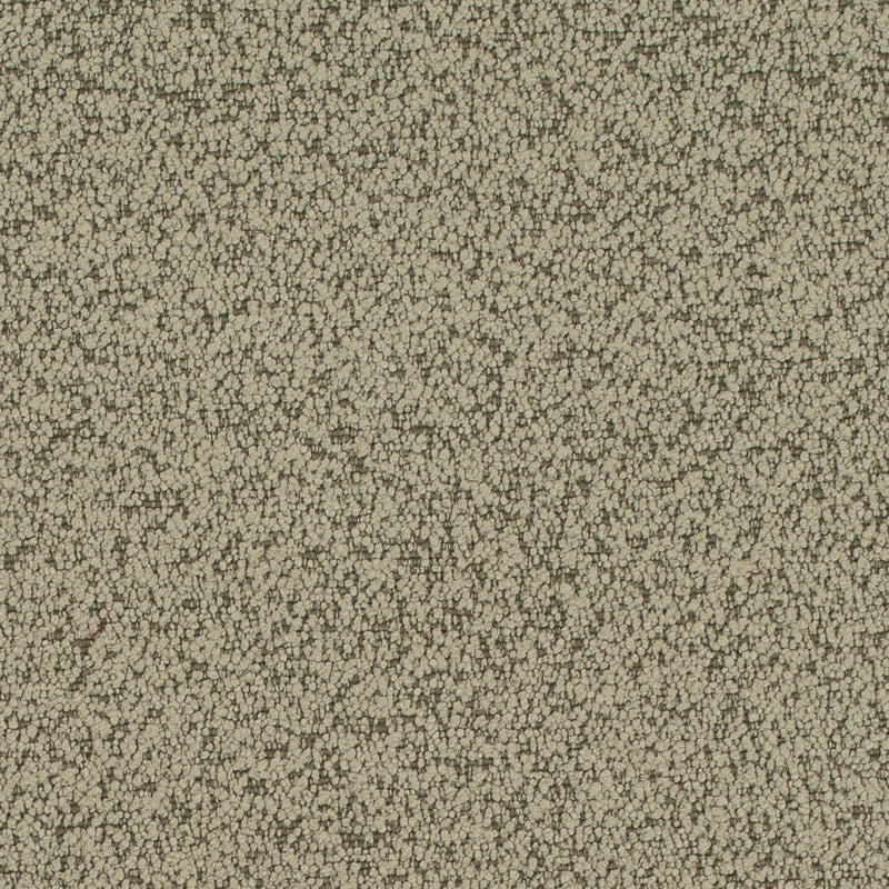 Charlotte - D4684 - Sage - Fabric by the Yard Sage