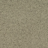 Charlotte - D4684 - Sage - Fabric by the Yard