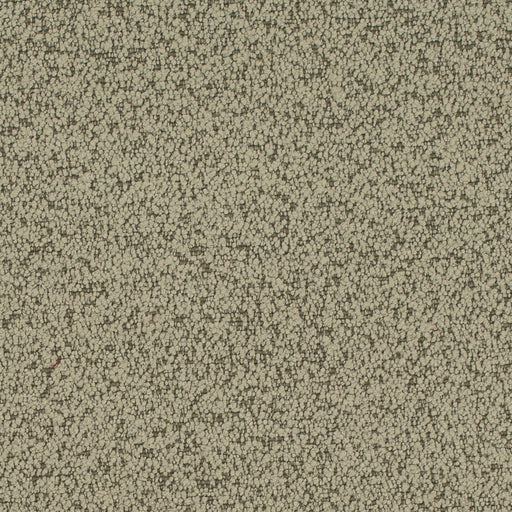 Charlotte - D4684 - Sage - Fabric by the Yard Sage