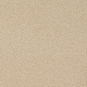 Charlotte - D4685 - Beige - Fabric by the Yard Beige