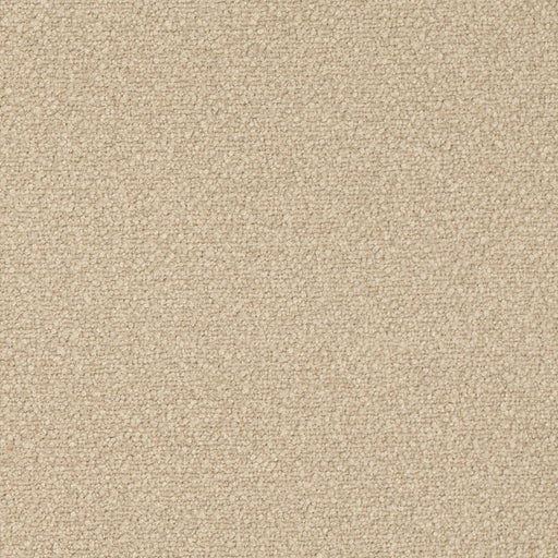 Charlotte - D4685 - Beige - Fabric by the Yard Beige