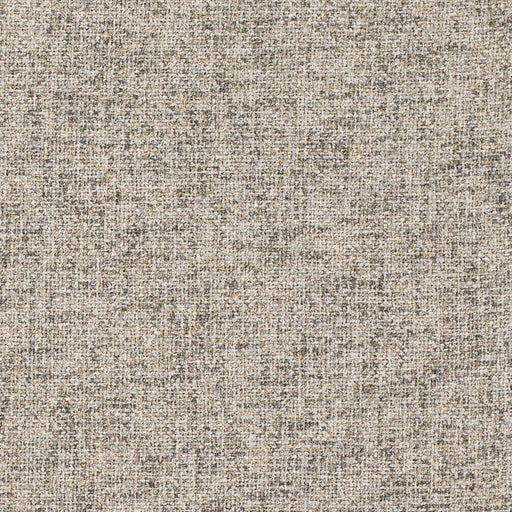 Charlotte - D4692 - Fog - Fabric by the Yard Fog