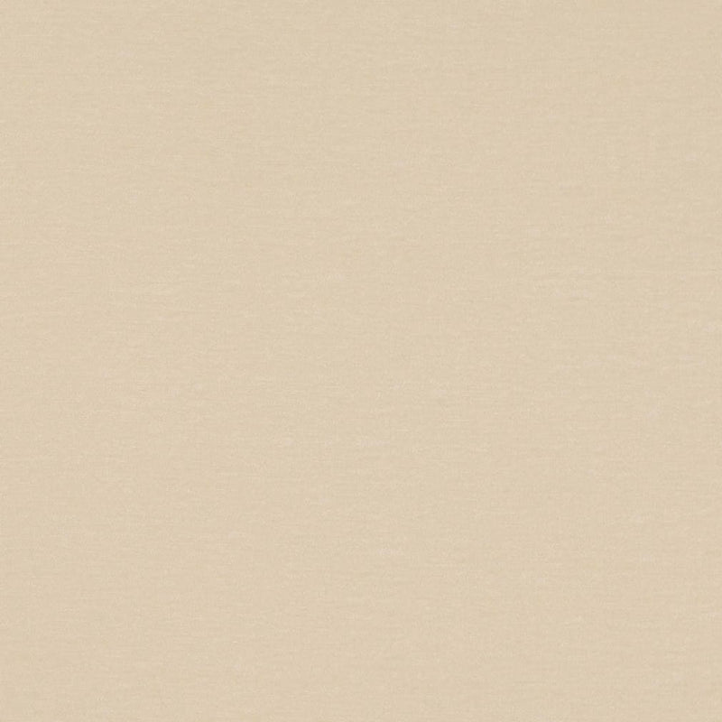 Charlotte - D4699 - Pearl - Fabric by the Yard Pearl
