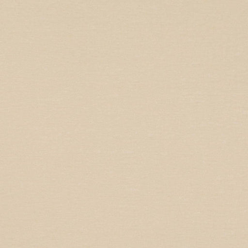 Charlotte - D4699 - Pearl - Fabric by the Yard Pearl