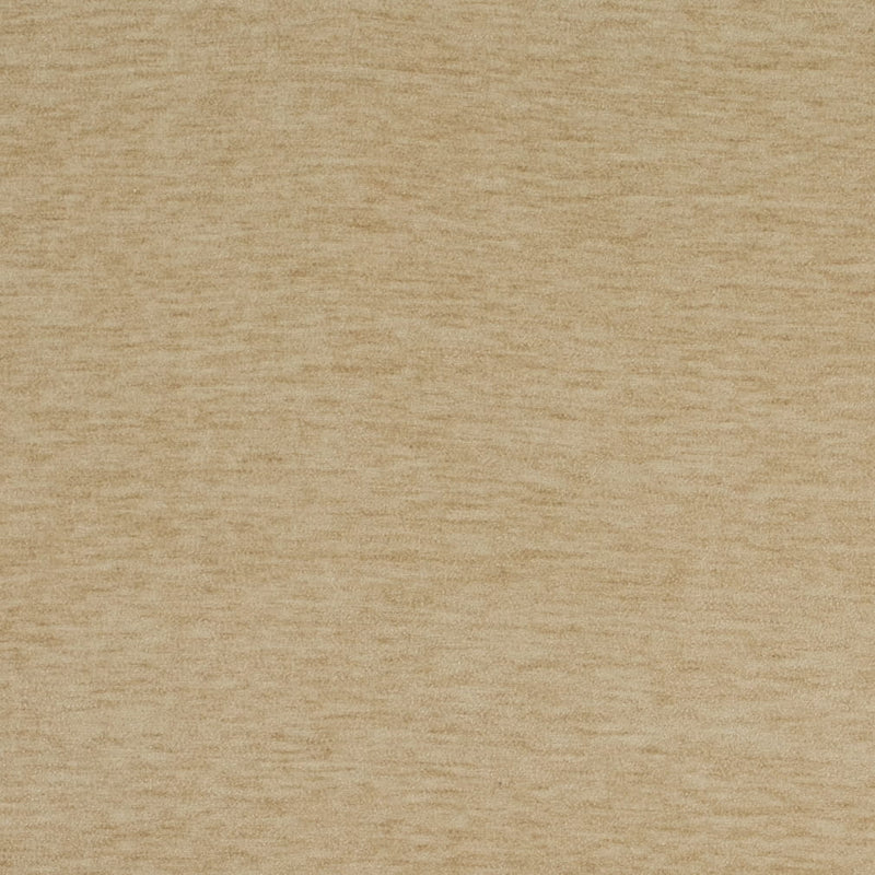 Charlotte - D4701 - Champagne - Fabric by the Yard Champagne