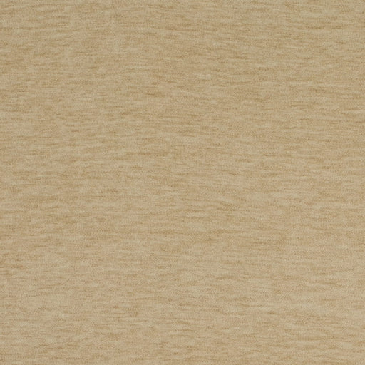 Charlotte - D4701 - Champagne - Fabric by the Yard Champagne
