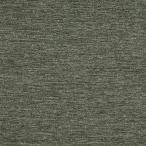 Charlotte - D4705 - Pumice - Fabric by the Yard Pumice