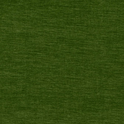 Charlotte - D4709 - Grass - Fabric by the Yard Grass