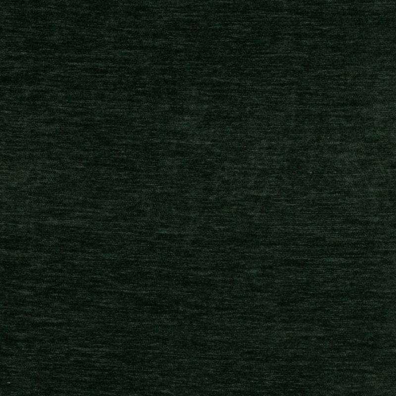 Charlotte - D4711 - Spruce - Fabric by the Yard Spruce