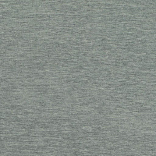 Charlotte - D4718 - Silver - Fabric by the Yard Silver