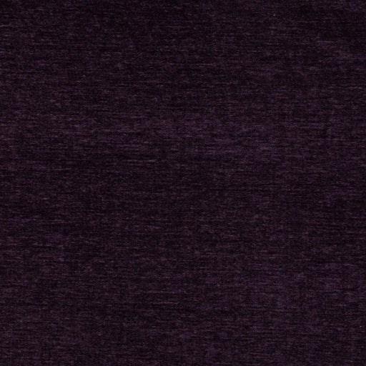 Charlotte - D4721 - Grape - Fabric by the Yard Grape