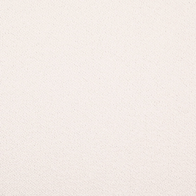 Charlotte - D4910 - Cotton - Fabric by the Yard Cotton