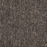 Charlotte - D4933 - Ash - Fabric by the Yard Ash