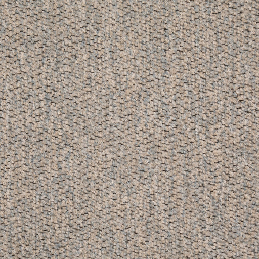 Charlotte - D4934 - Sky - Fabric by the Yard Sky