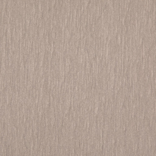 Charlotte - D4959 - Dove - Fabric by the Yard Dove