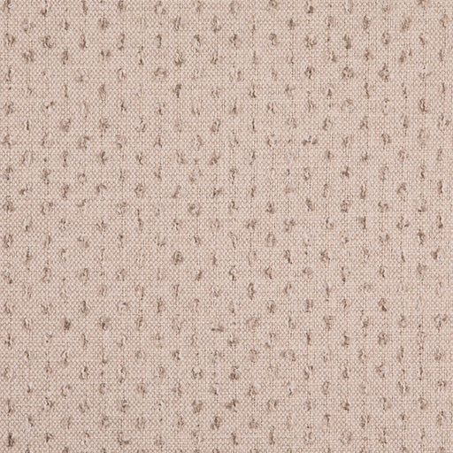 Charlotte - D4968 - Pearl - Fabric by the Yard Pearl