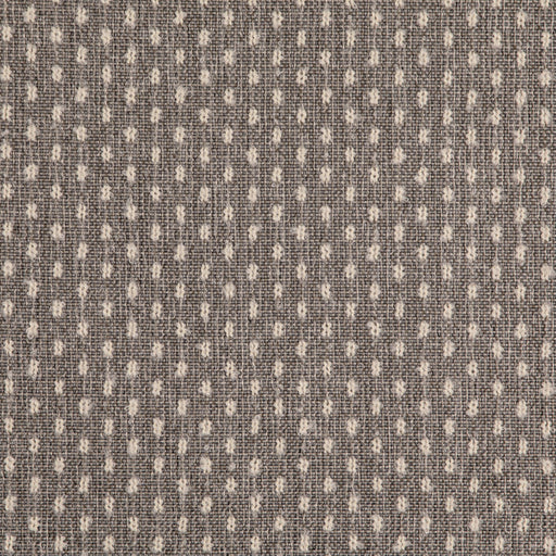 Charlotte - D4969 - Nickel - Fabric by the Yard Nickel