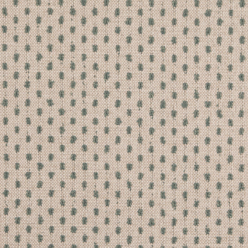 Charlotte - D4972 - Mist - Fabric by the Yard Mist