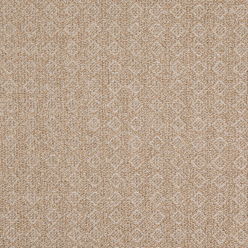 Charlotte - D4975 - Wheat - Fabric by the Yard Wheat