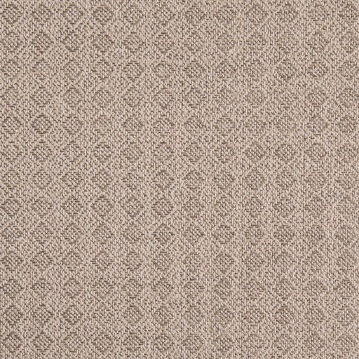 Charlotte - D4976 - Putty - Fabric by the Yard Putty