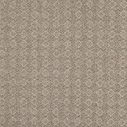 Charlotte - D4980 - Mineral - Fabric by the Yard Mineral