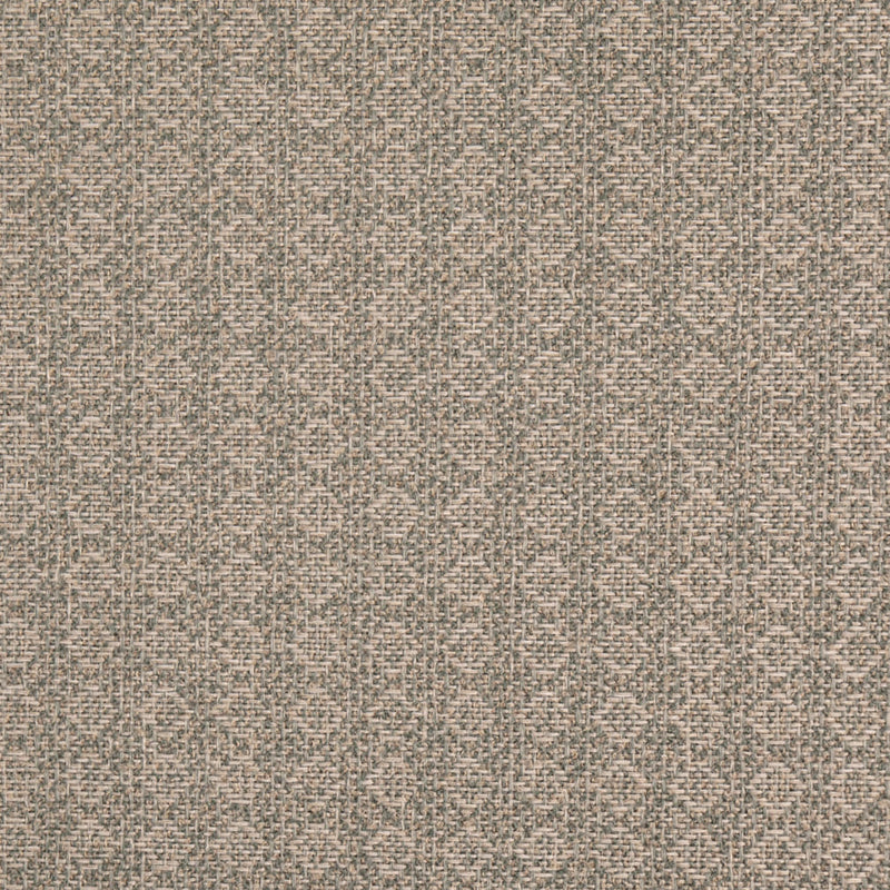Charlotte - D4980 - Mineral - Fabric by the Yard Mineral
