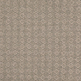 Charlotte - D4980 - Mineral - Fabric by the Yard