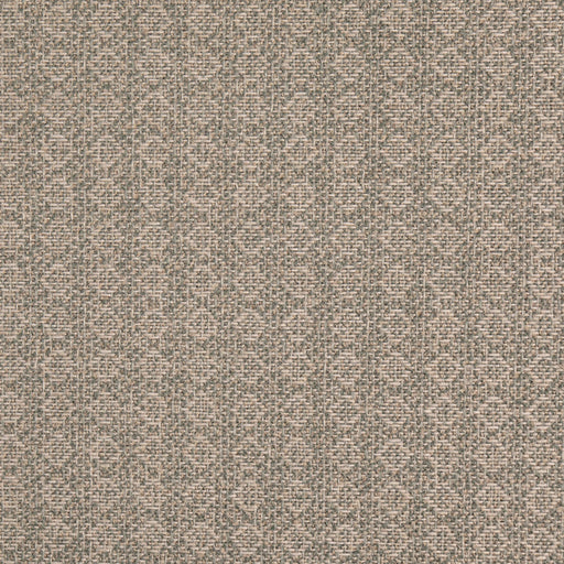 Charlotte - D4980 - Mineral - Fabric by the Yard Mineral