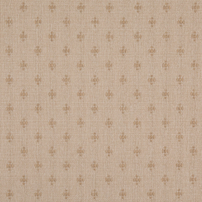 Charlotte - D4982 - Antique - Fabric by the Yard Antique
