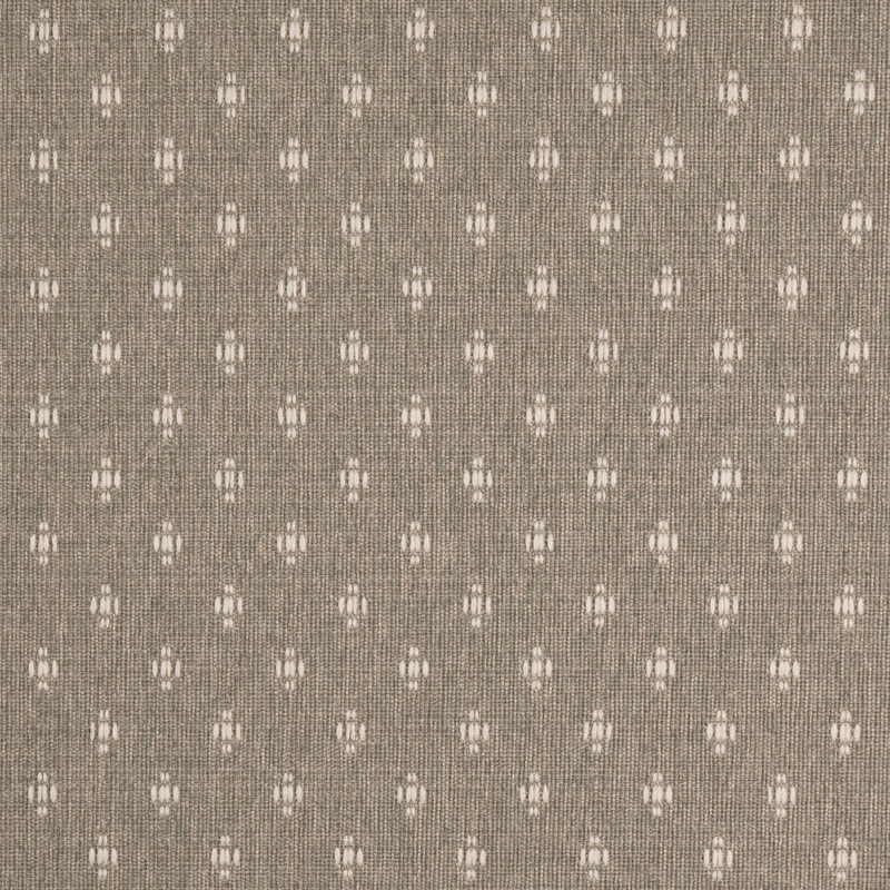 Charlotte - D4988 - Haze - Fabric by the Yard Haze