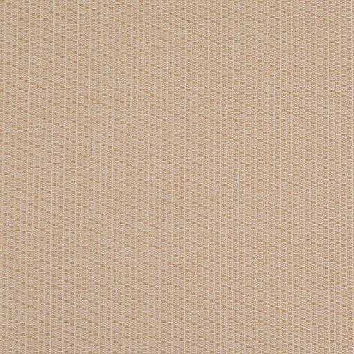 Charlotte - D4991 - Flax - Fabric by the Yard Flax