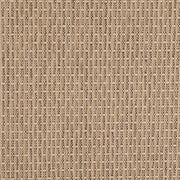 Charlotte - D4997 - Pebble - Fabric by the Yard Pebble