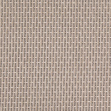 Charlotte - D4999 - Stone - Fabric by the Yard