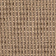Charlotte - D5000 - Biscotti - Fabric by the Yard Biscotti