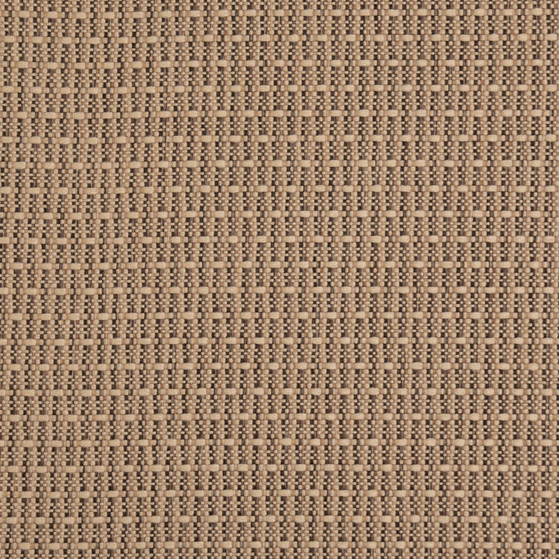 Charlotte - D5000 - Biscotti - Fabric by the Yard Biscotti
