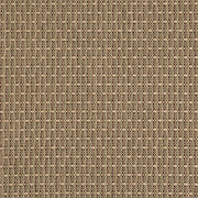 Charlotte - D5001 - Lichen - Fabric by the Yard Lichen