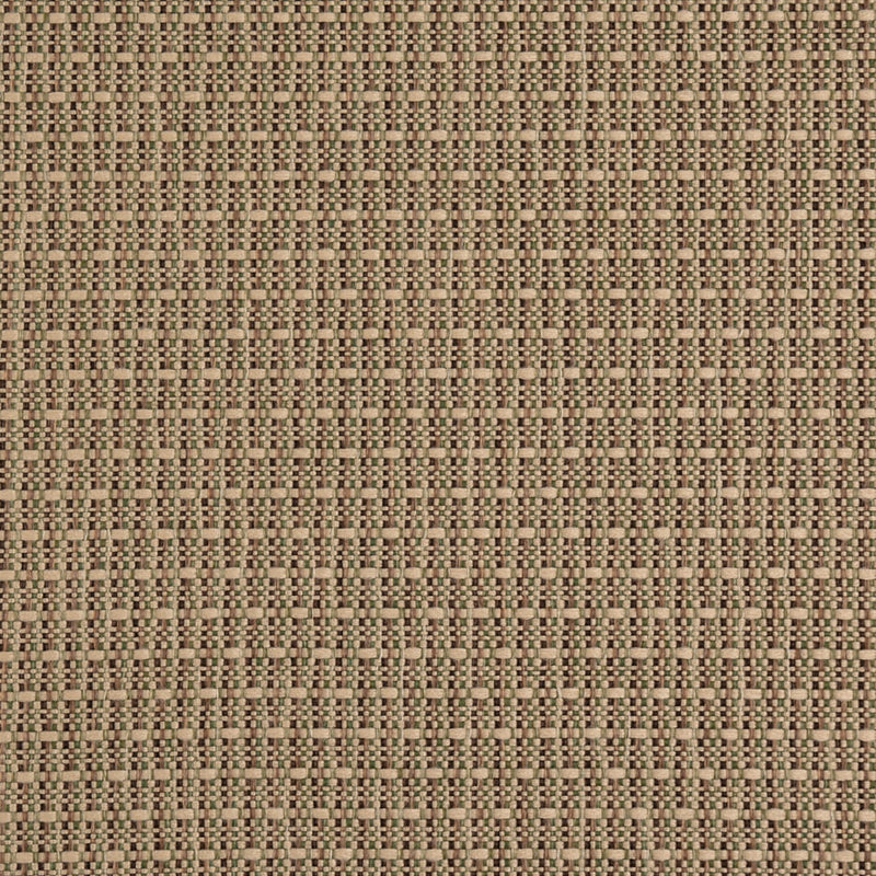 Charlotte - D5001 - Lichen - Fabric by the Yard Lichen