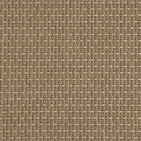 Charlotte - D5001 - Lichen - Fabric by the Yard