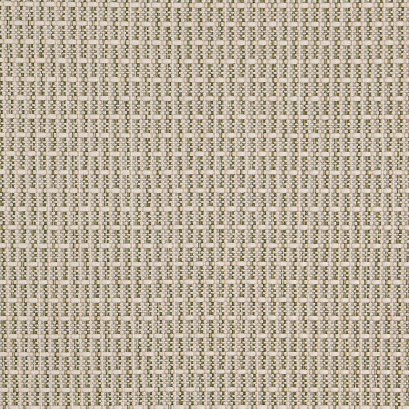Charlotte - D5002 - Basil - Fabric by the Yard Basil