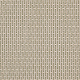 Charlotte - D5002 - Basil - Fabric by the Yard