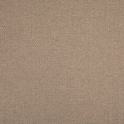 Charlotte - D5006 - Sage - Fabric by the Yard Sage