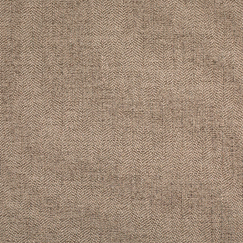 Charlotte - D5006 - Sage - Fabric by the Yard Sage