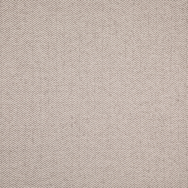 Charlotte - D5007 - Fog - Fabric by the Yard Fog