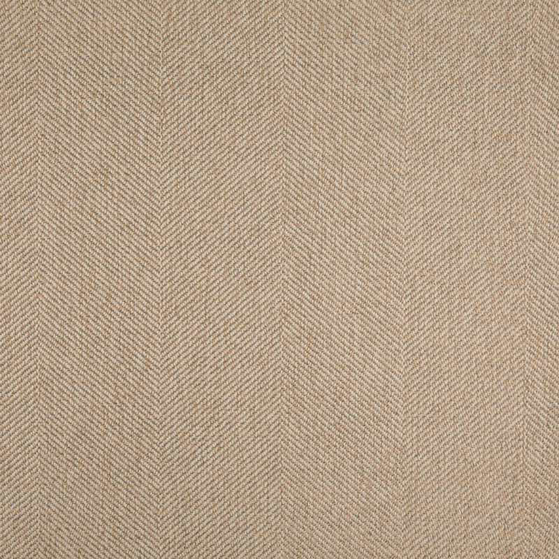 Charlotte - D5015 - Silversage - Fabric by the Yard Silversage