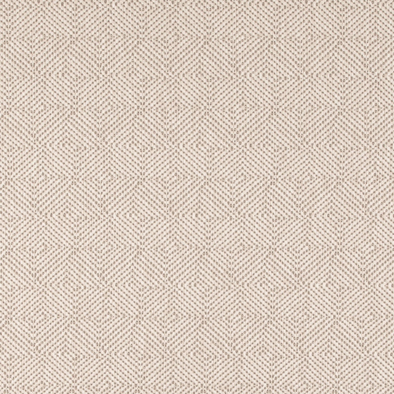 Charlotte - D5023 - Bone - Fabric by the Yard Bone