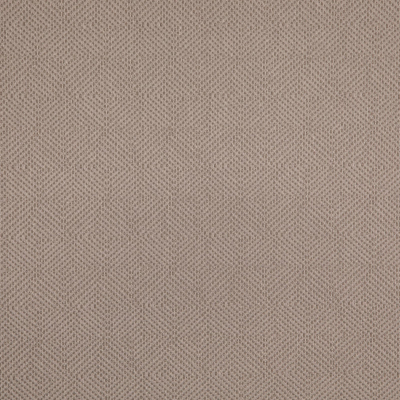 Charlotte - D5024 - Dove - Fabric by the Yard Dove
