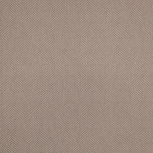 Charlotte - D5024 - Dove - Fabric by the Yard Dove