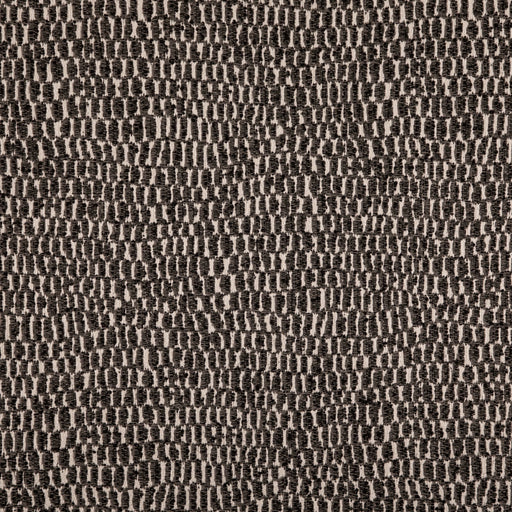Charlotte - D5037 - Soot - Fabric by the Yard Soot
