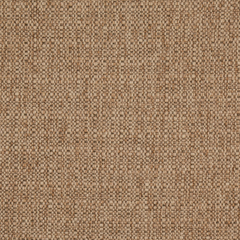 Charlotte - D5047 - Biscotti - Fabric by the Yard Biscotti